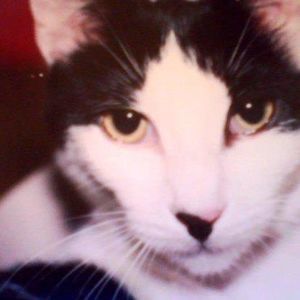 Meet your Posher, Denise